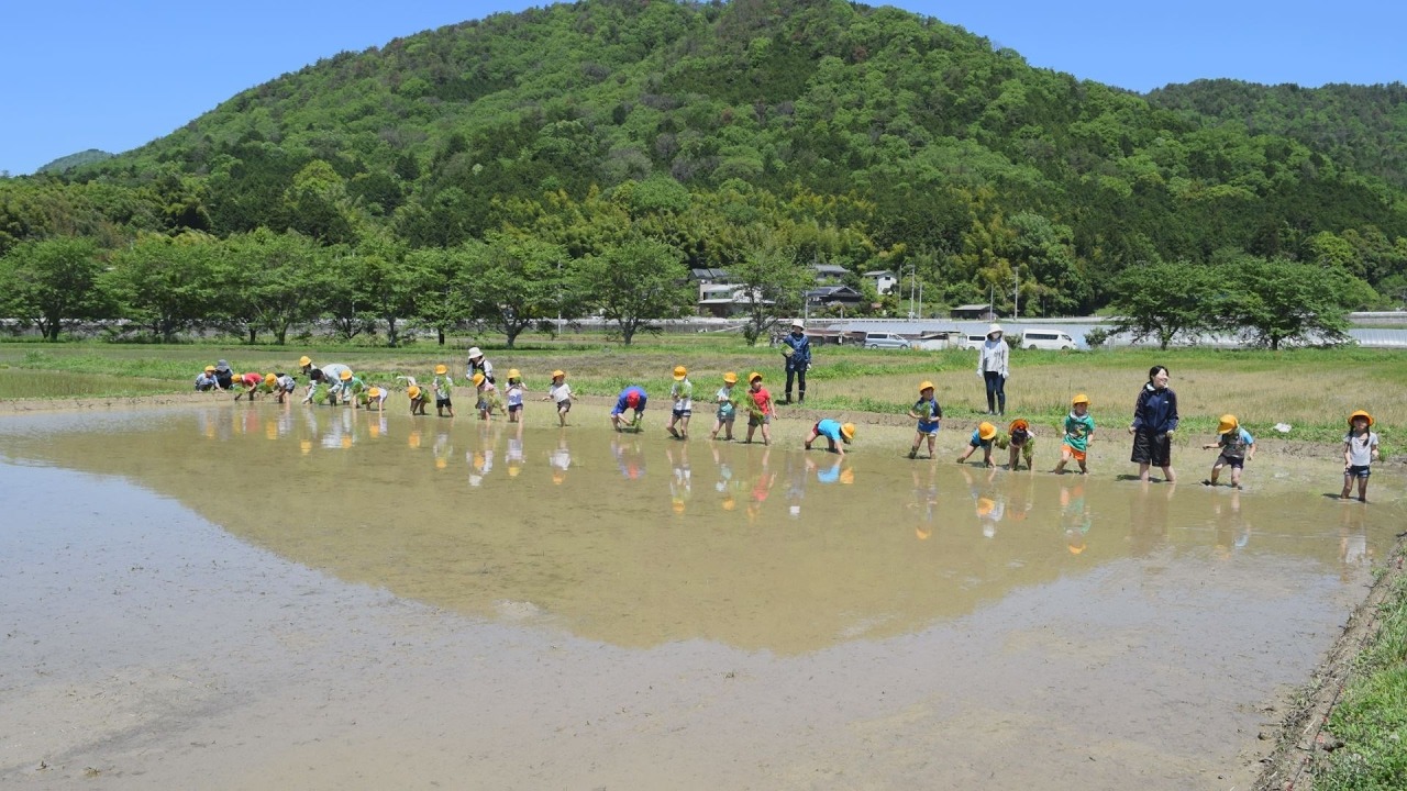 13.人気ナンバーワン賞・ささやま新発見賞　西紀小のヒーロー