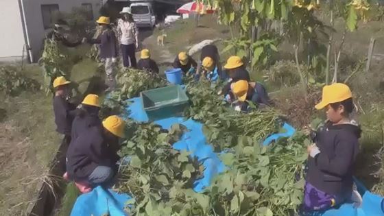 13.優秀賞 ええやろ☆ささやま~黒豆マイスターと作ろう~