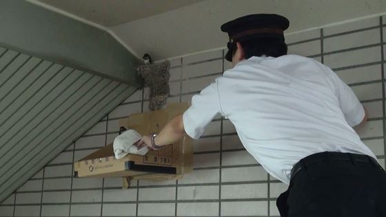 07.サンテレビジョン賞 巣立つ