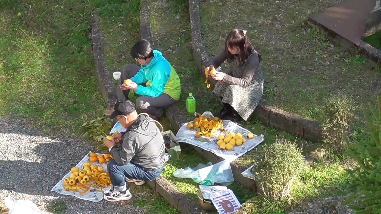 19.ナイスチャレンジ賞　福住のきになる柿