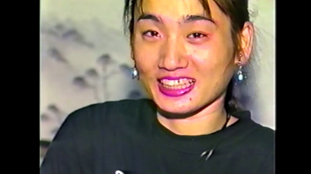 1995年　兵庫・四季の森ビデオ大賞　がんばり屋ヨウ子ちゃん