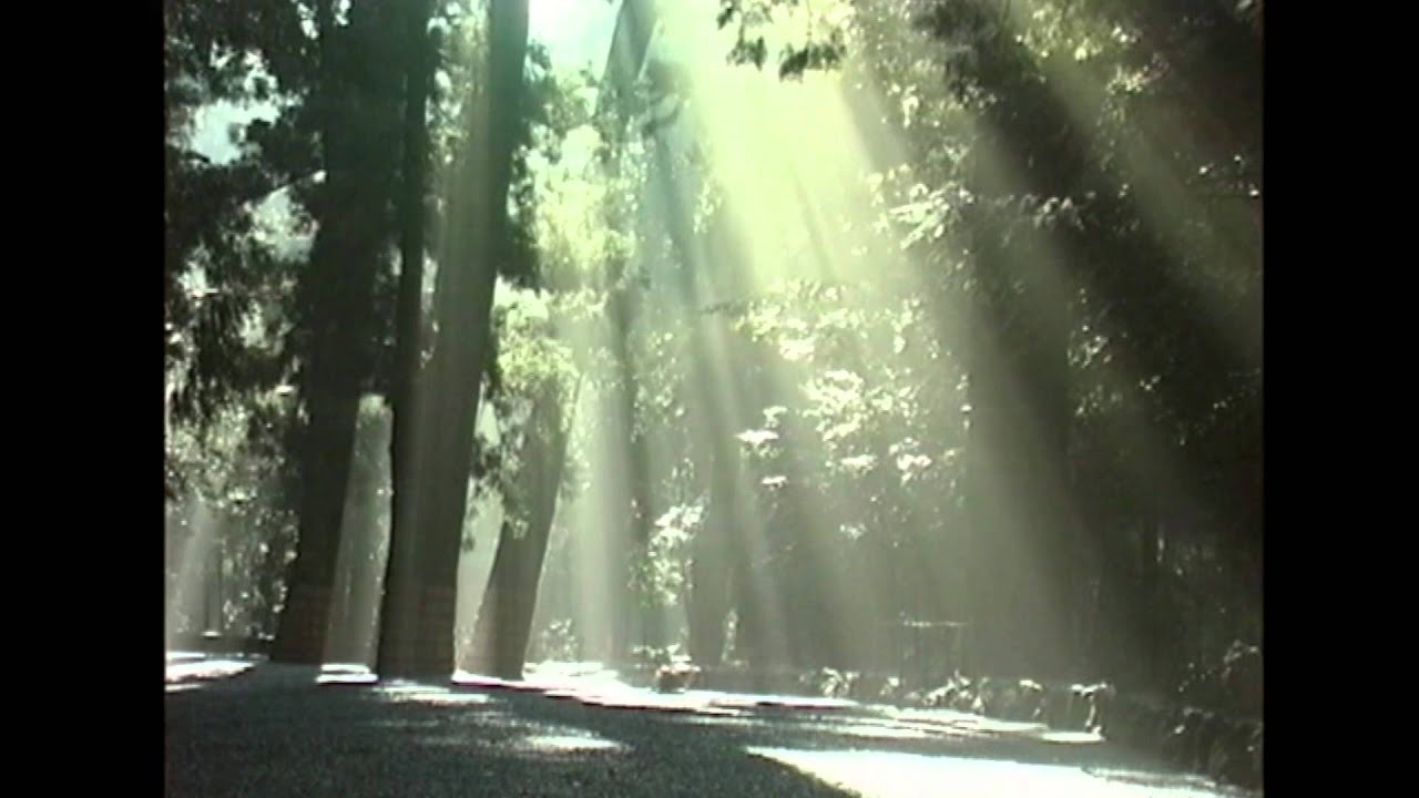 11.優秀賞　アマテラスの息吹き