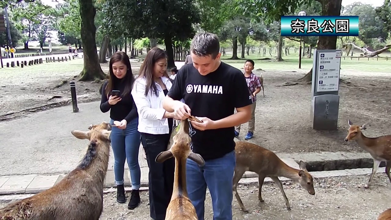 17.ナイスチャレンジ賞　留学生との思い出