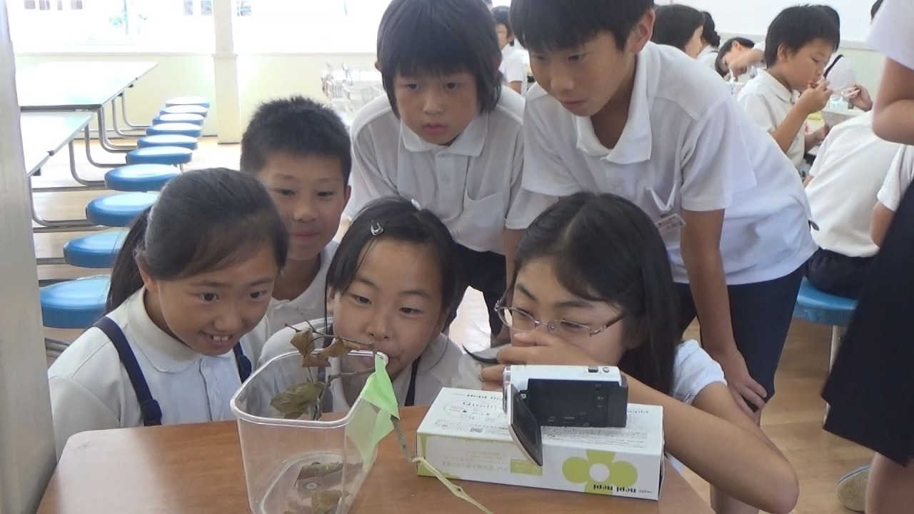 17.ナイスチャレンジ賞　国蝶オオムラサキを　ふるさとささやまの空へ